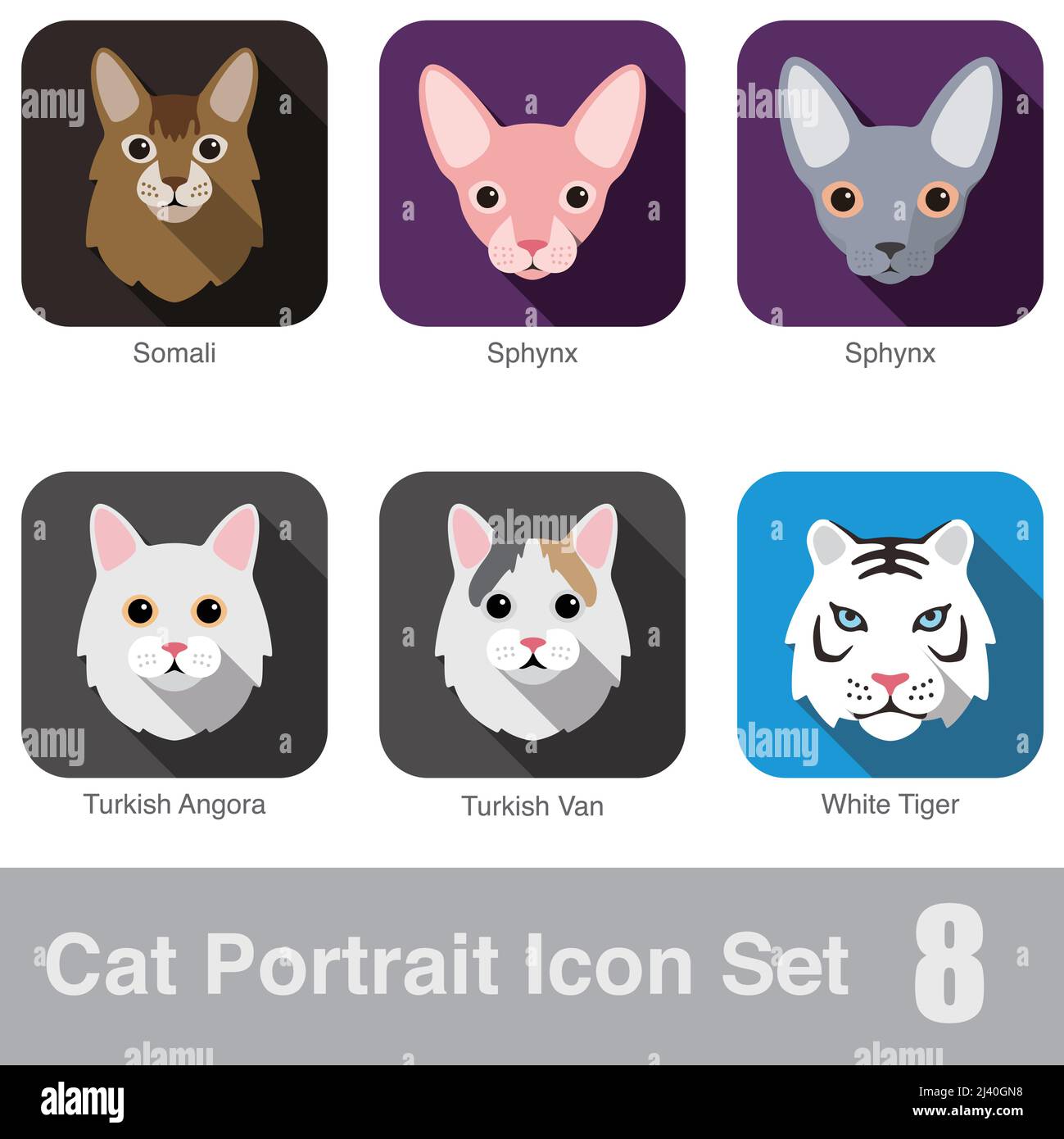 Cat breed face cartoon flat icon design Turkish Angora, Somali, Turkish Van, Sphynx, White Tiger Stock Vector