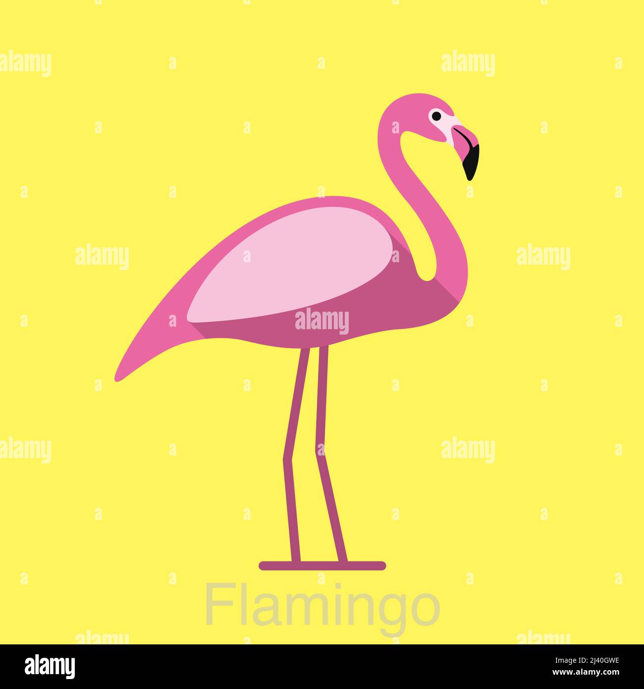 Beautiful flamingo bird series, vector flat icon Stock Vector Image ...