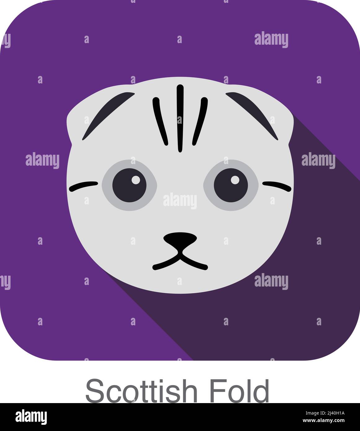 Scottish Fold, Cat breed face cartoon flat icon design Stock Vector