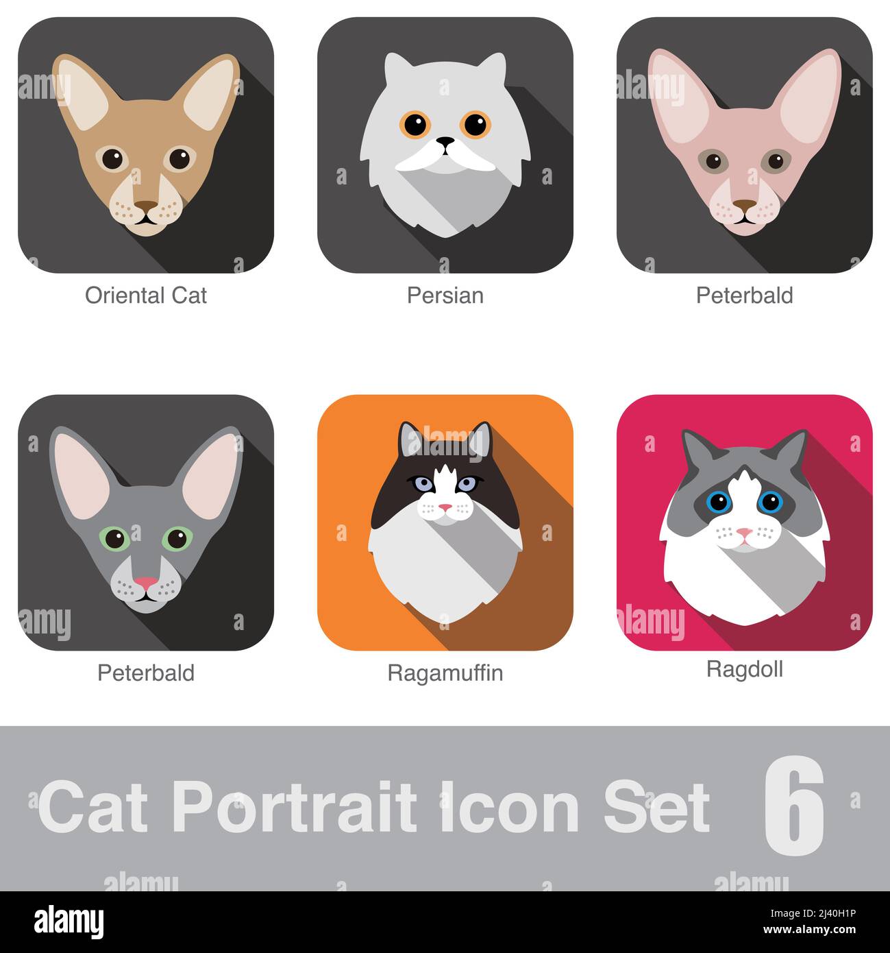 Cat breed face cartoon flat icon design Stock Vector
