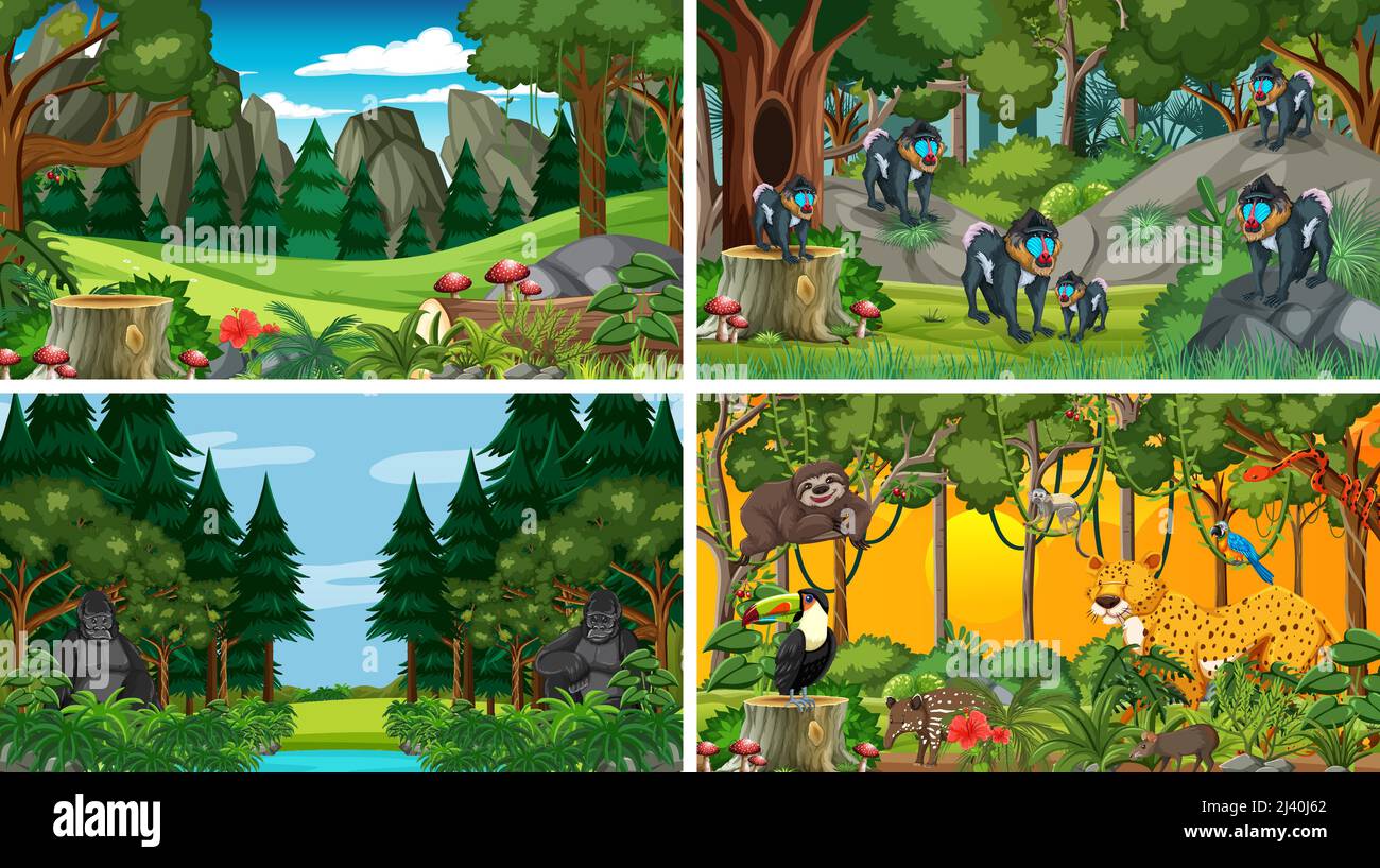 Different forest scenes with wild animals illustration Stock Vector ...
