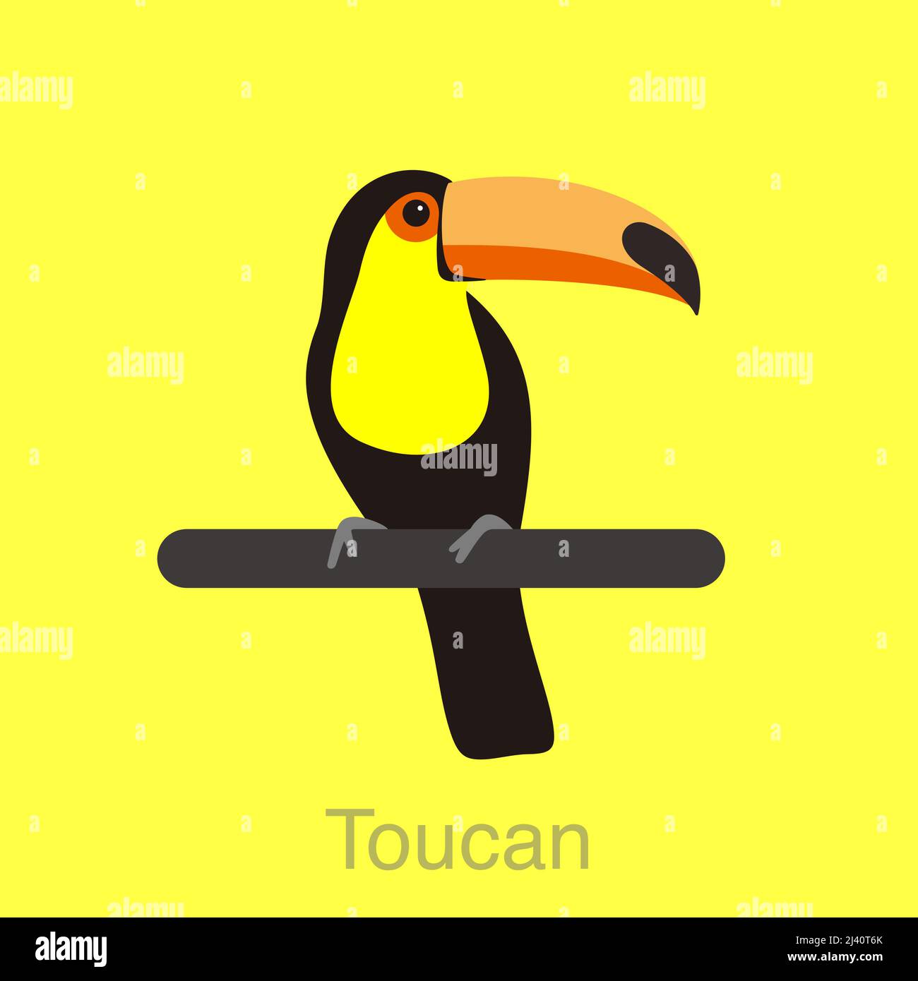 Toucan close up Stock Vector Images Alamy