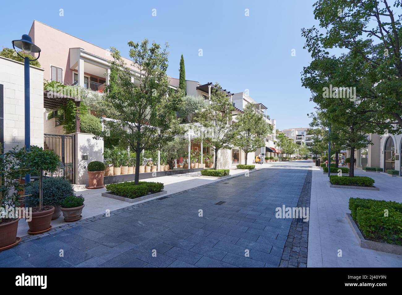 Nice Clean Street Nice and clean street in a luxurious area to live in Porto Montenegro ...