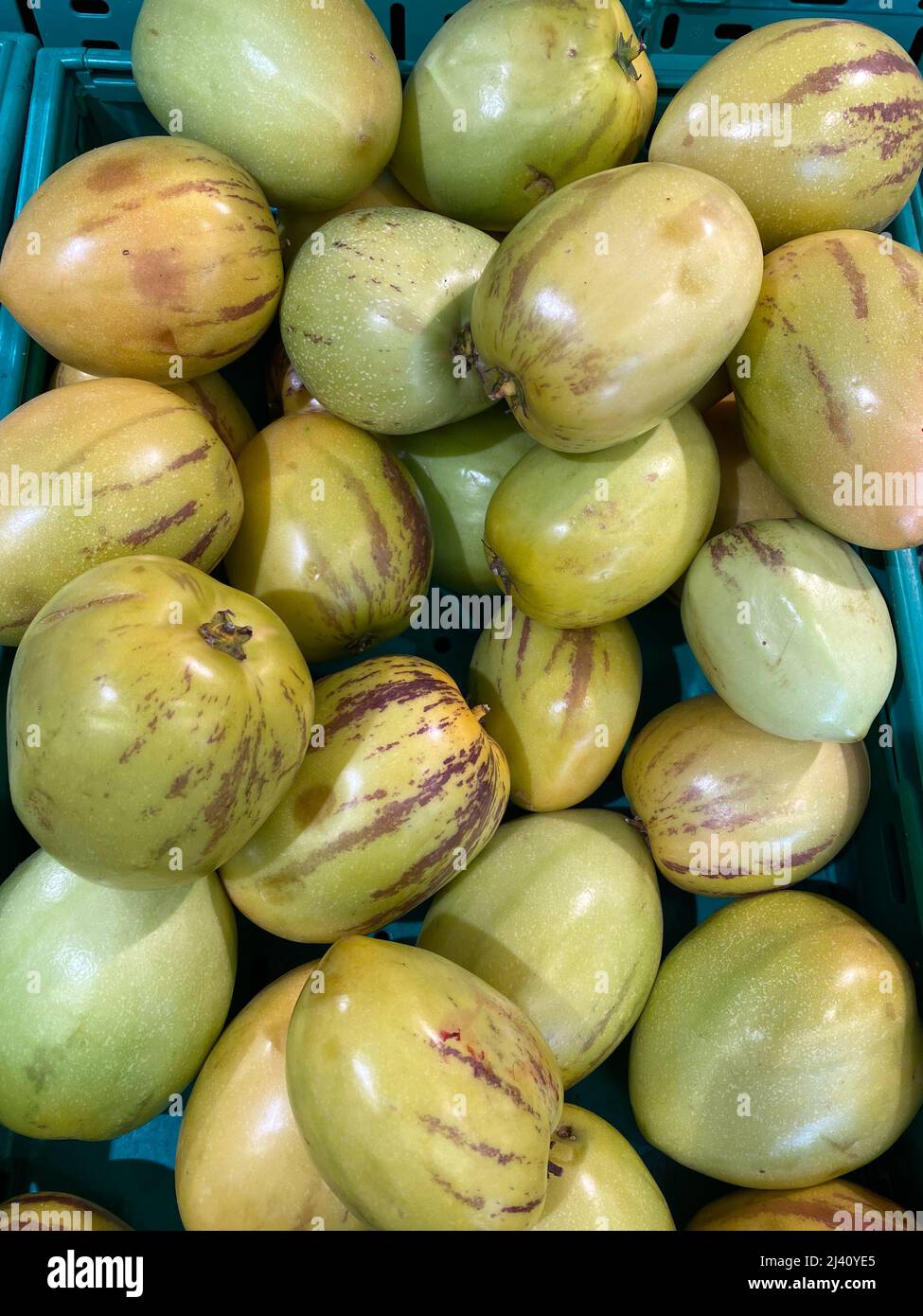 Stack of Fresh Pepino Melon Fruit for Sale at Market. Solanum Muricatum. Ready to Eat. Stock Photo