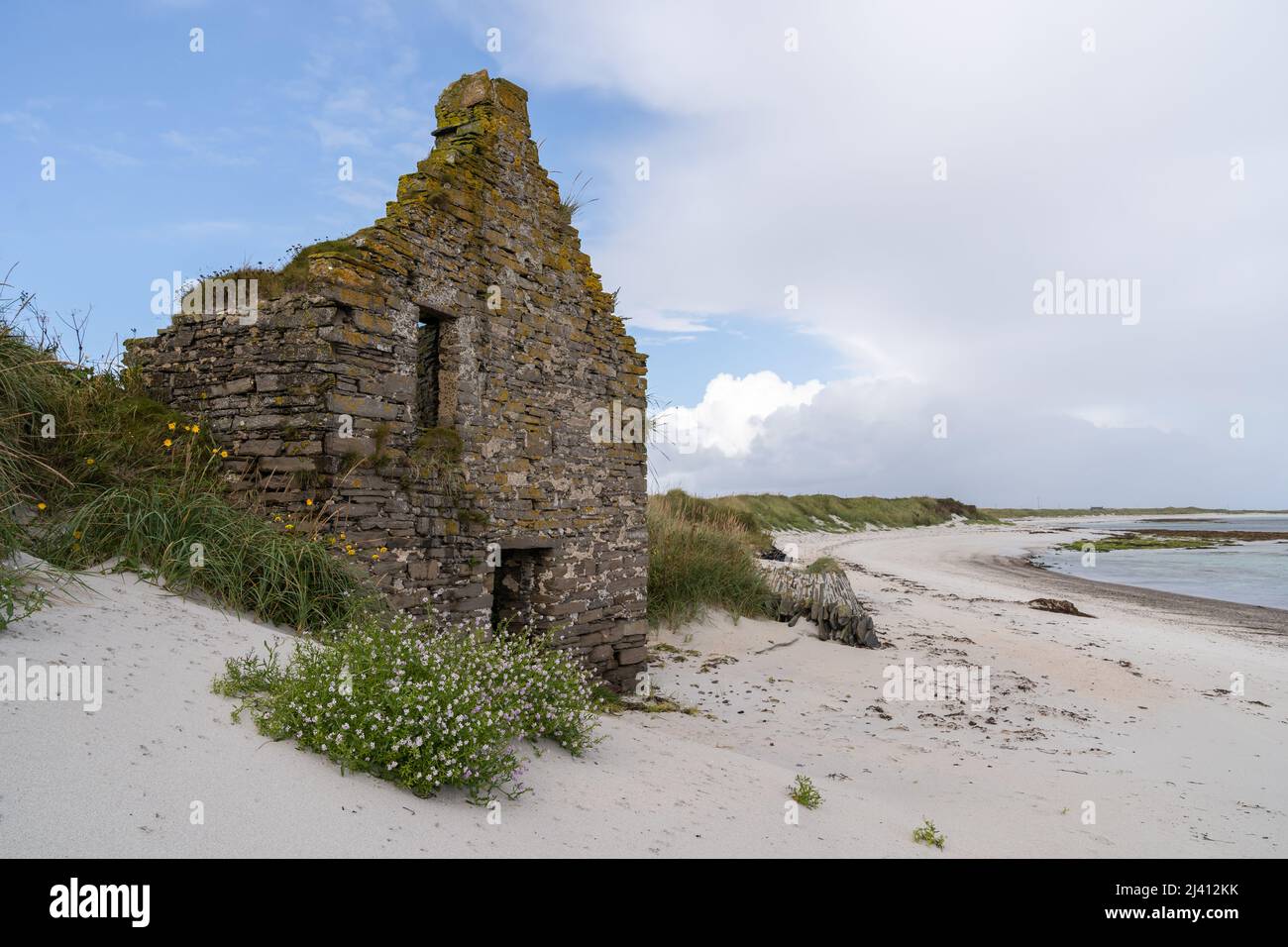 The gable end of a ruined stone building on a white sand beach at Otterswick Bay on Sanday, Orkney Isles. Stock Photo