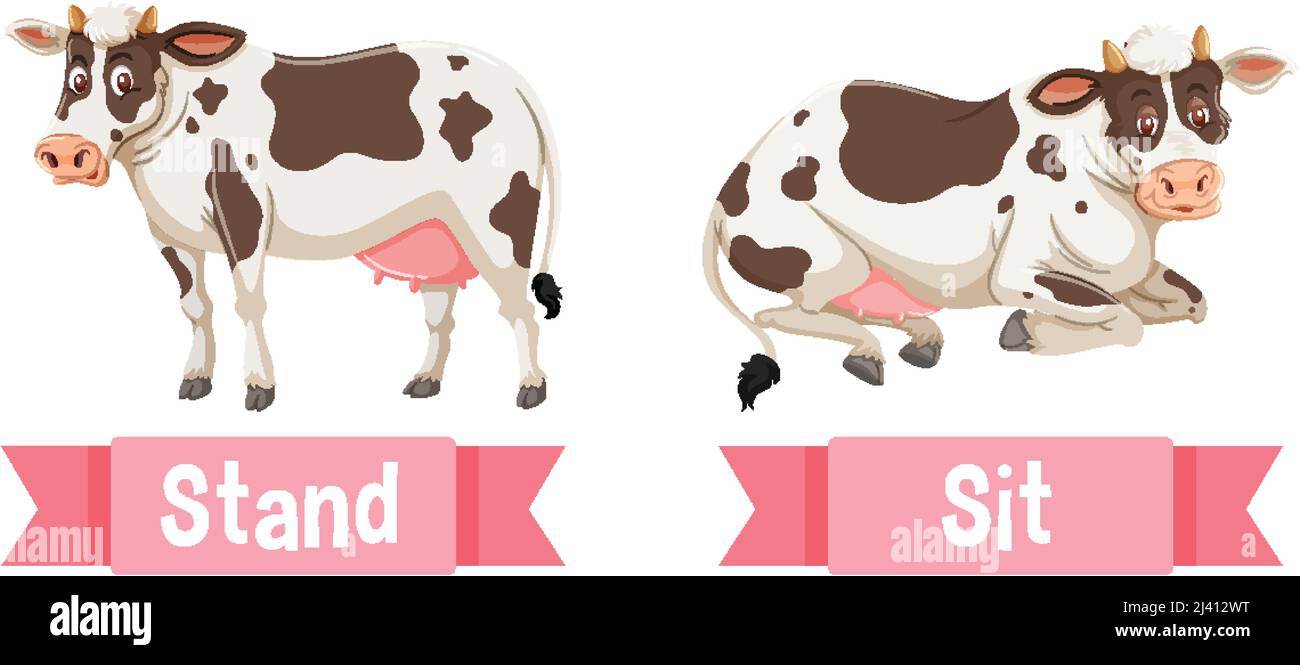 Opposite English Words stand and sit illustration Stock Vector Image