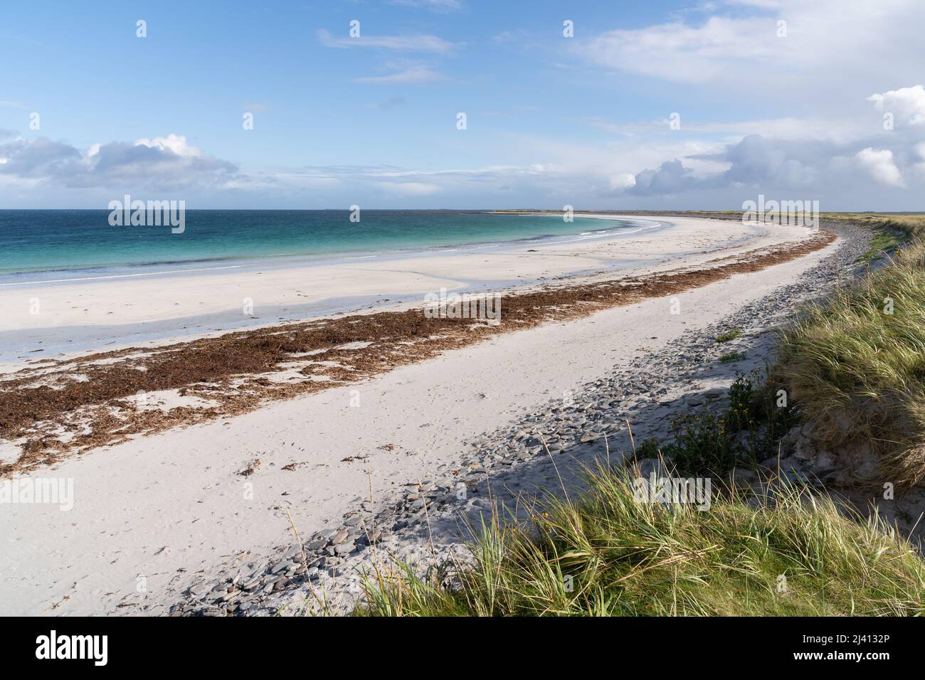 Curved Whitemill Bay at low tide, a beautiful white sand beach backed by machair on Sanday in the Orkney Islands, Scotland. Stock Photo