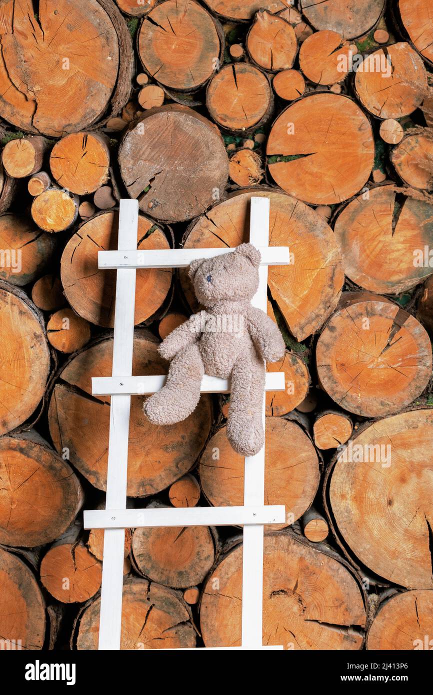 A white ladder with rungs is leaning against a woodpile in the barn ...