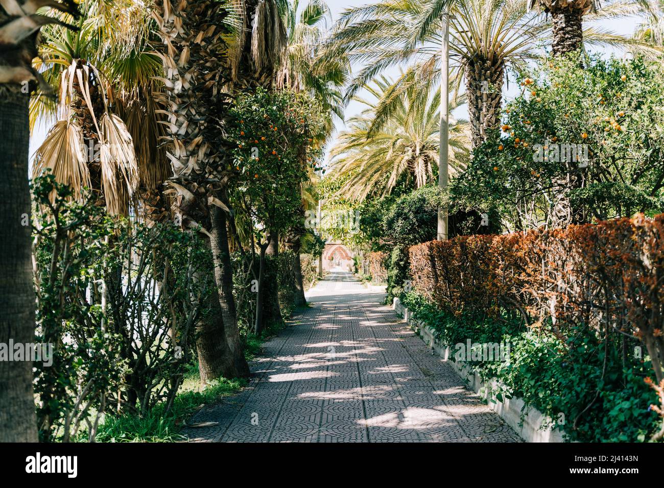 Passage to the park surrounded with trees. Park trail route with ...