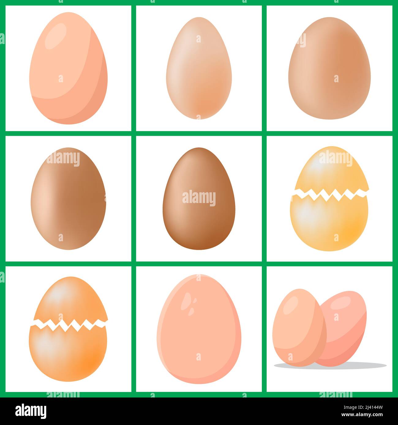 chicken eggs set. Vector illustration isolated on white background Stock Vector