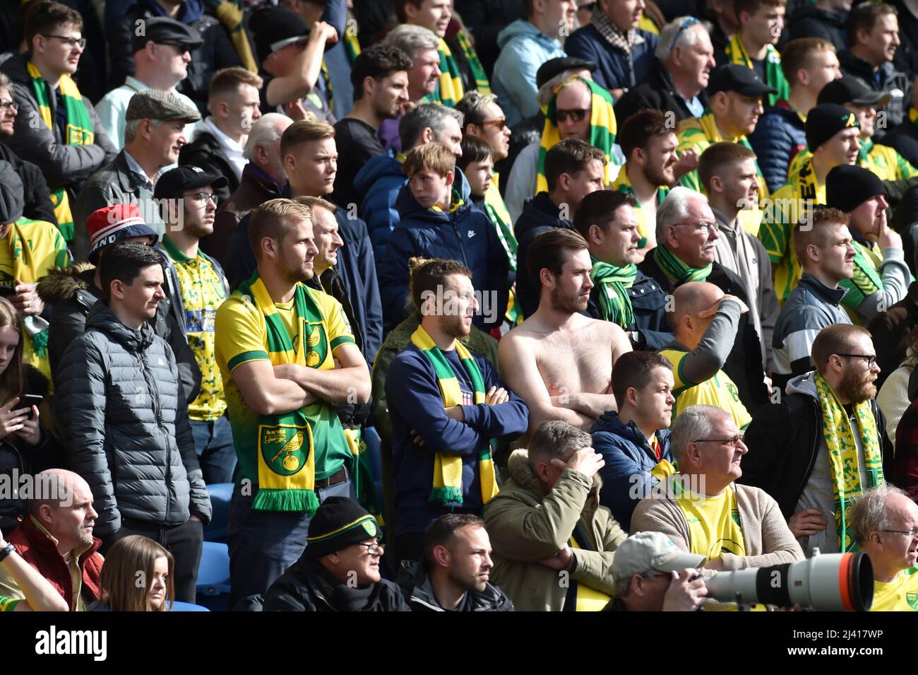 Norwich City fans during the Premier League match between Brighton and Hove Albion and Norwich City at The American Express Community Stadium, Brighton, UK - 2nd April  2022 Editorial use only. No merchandising. For Football images FA and Premier League restrictions apply inc. no internet/mobile usage without FAPL license - for details contact Football Dataco Stock Photo