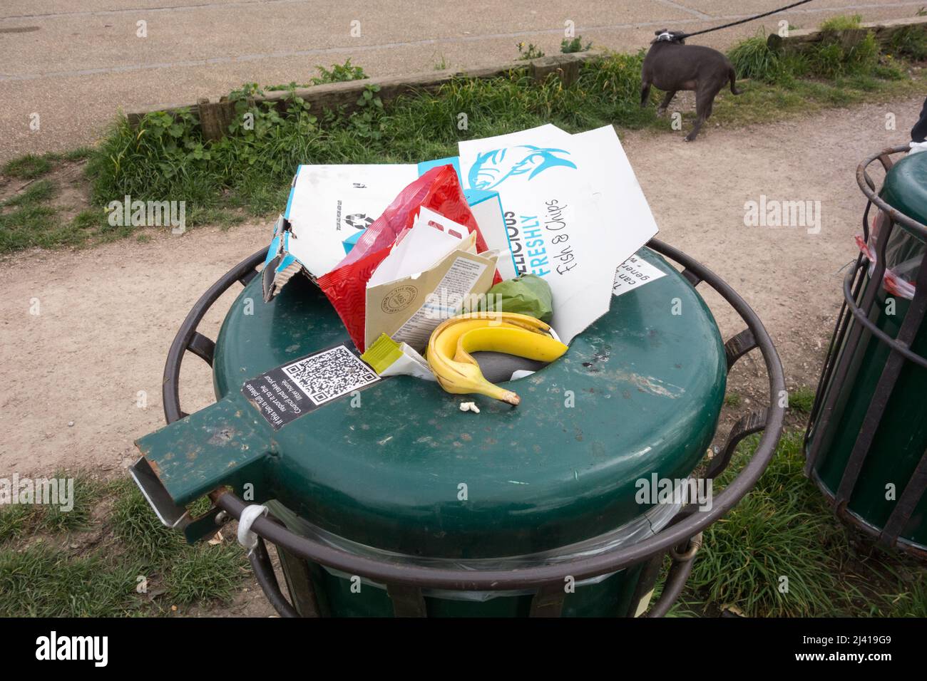 An overflowing dog waste bin in Barnes, London, SW13, England, UK Stock