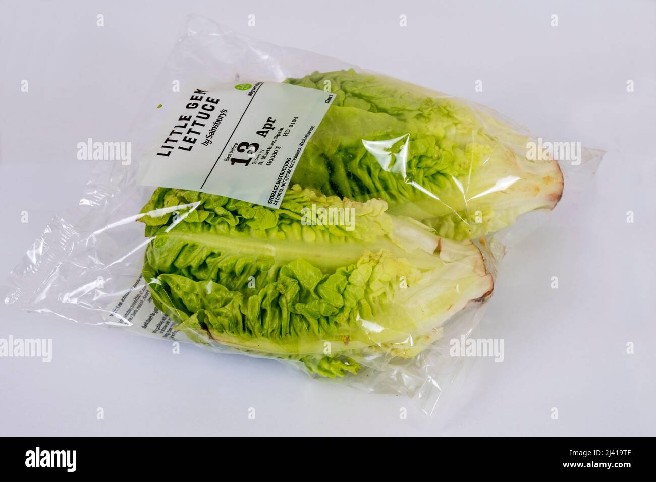 A packet of two plastic-wrapped Sainsbury's Little Gem lettuces. Stock Photo