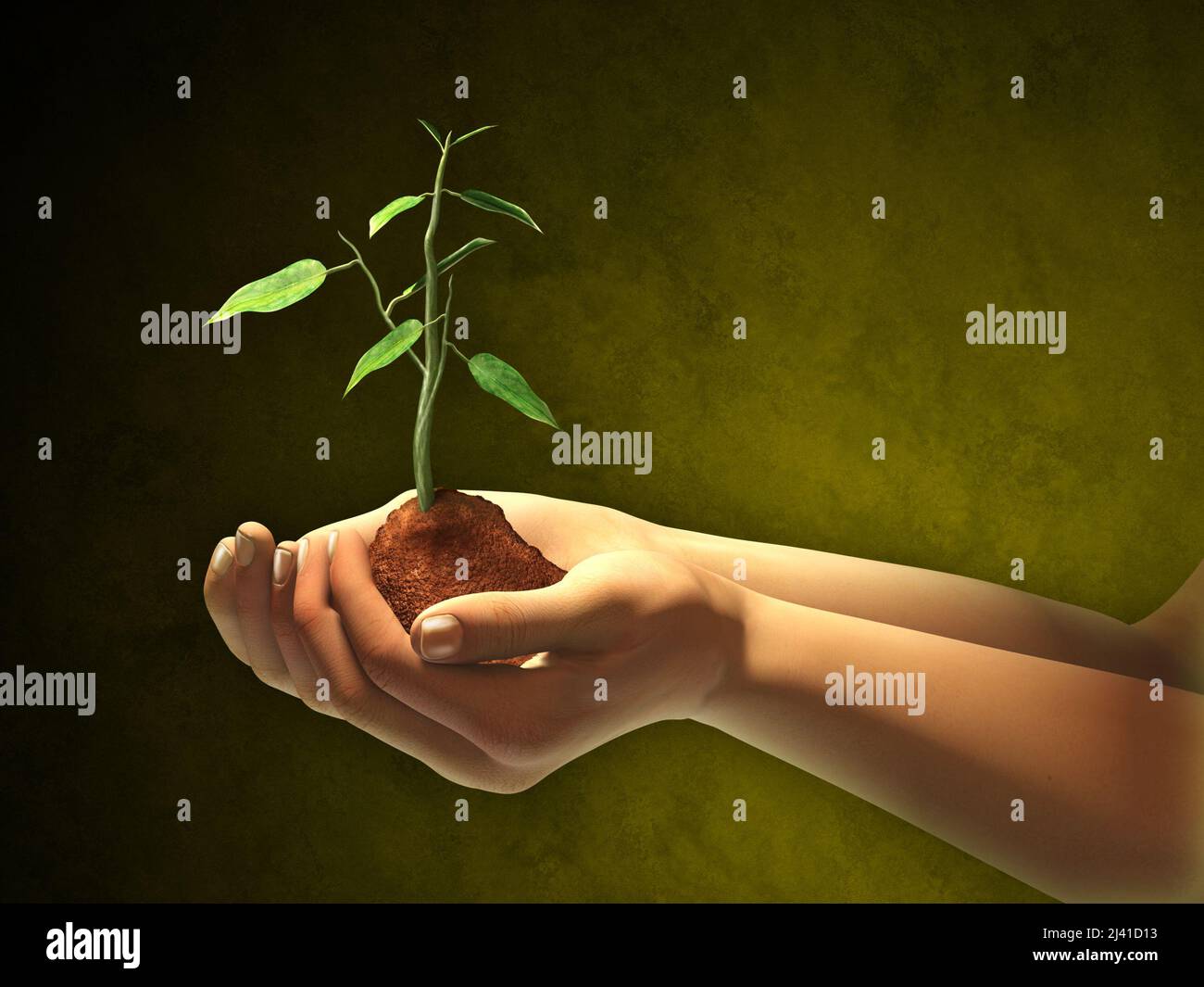 Female hands holding some soil and a seedling. Digital illustration. Clipping path included to separate hands and seedling from background Stock Photo