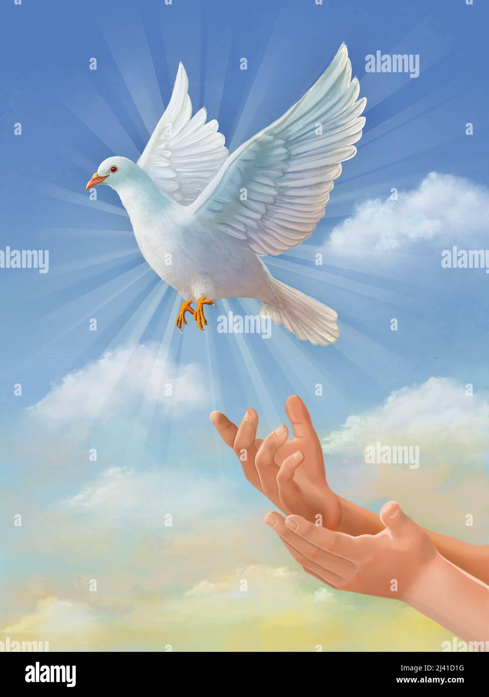 White dove, symbol of peace, flying through the sky. Original digital illustration, painted using a graphic tablet. Stock Photo