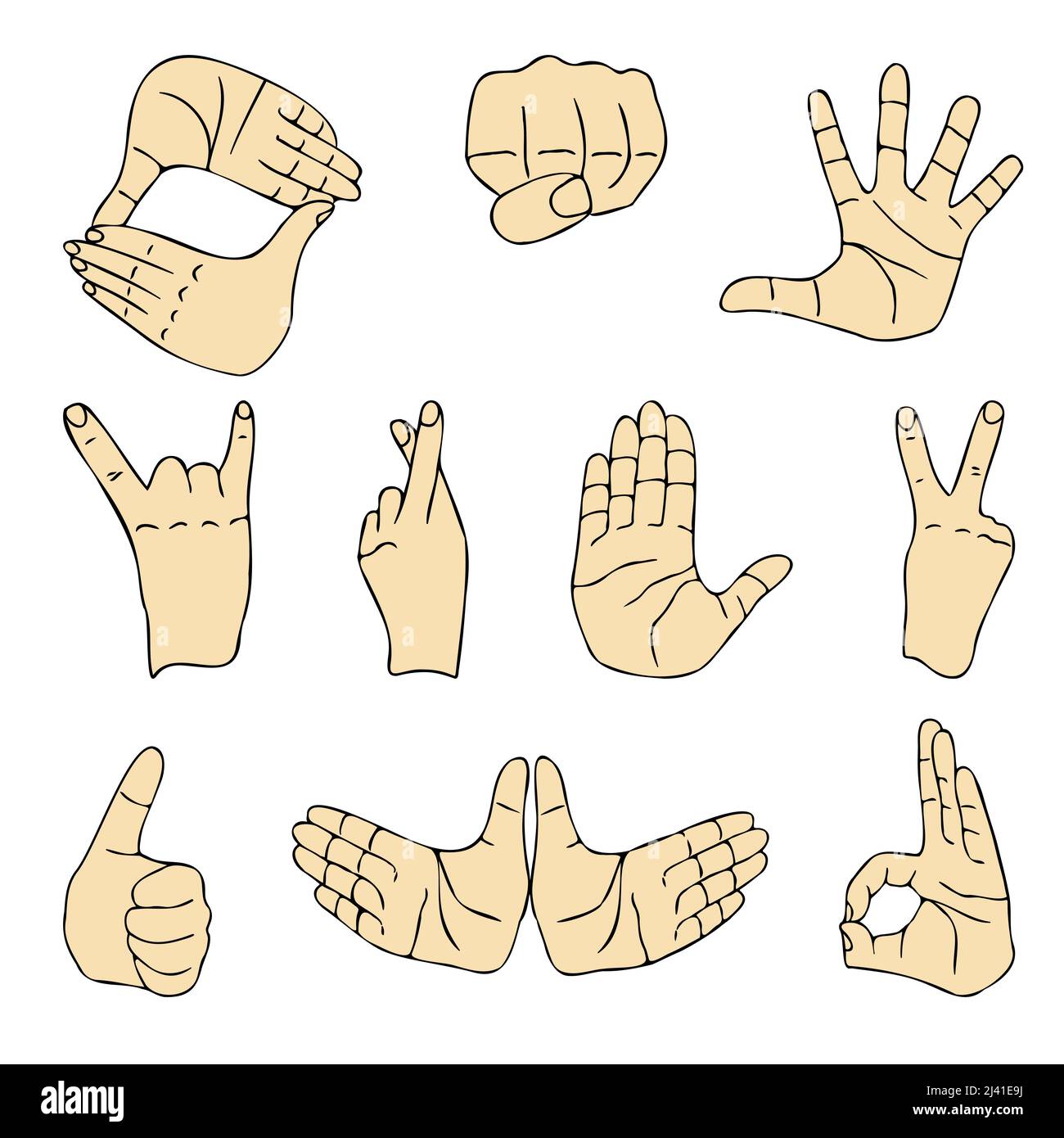 Two Female Hands. Hands in Different Positions. Vector Stock Vector -  Illustration of hands, female: 245138309
