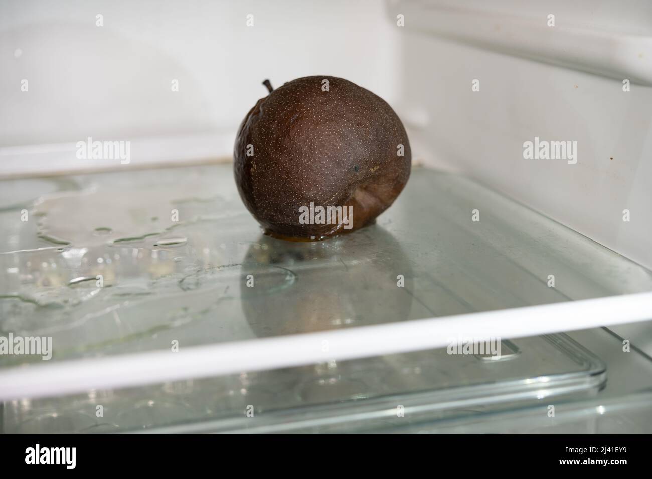 badly rotten snow pear in a fridge Stock Photo