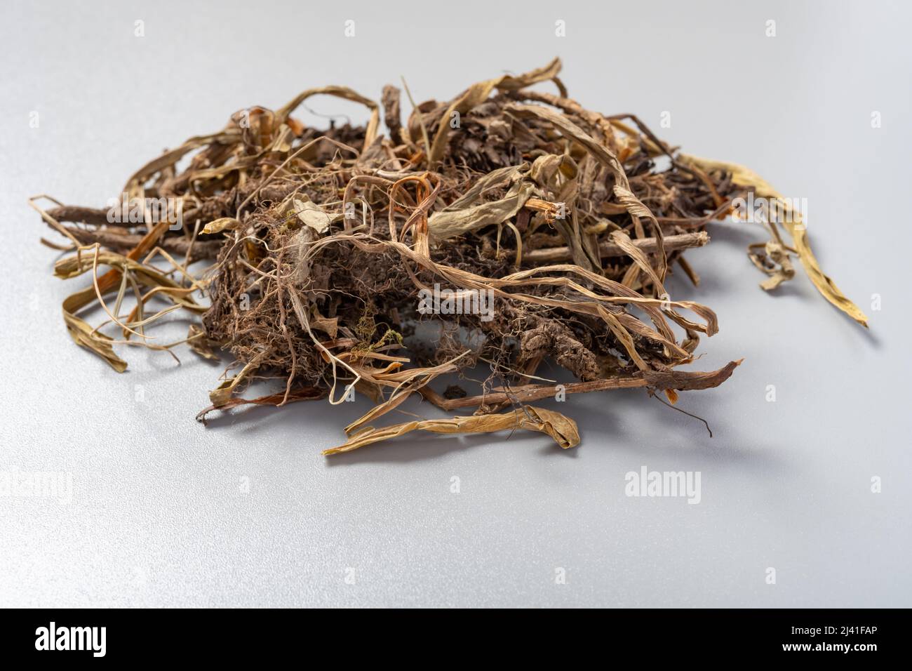 Chinese nardostachys root and rhizome hi-res stock photography and ...
