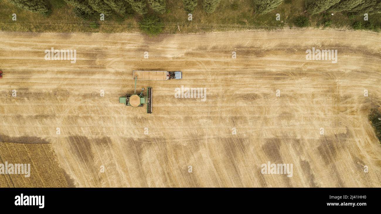 Aerial view combine harvester harvesting on the field Stock Photo - Alamy