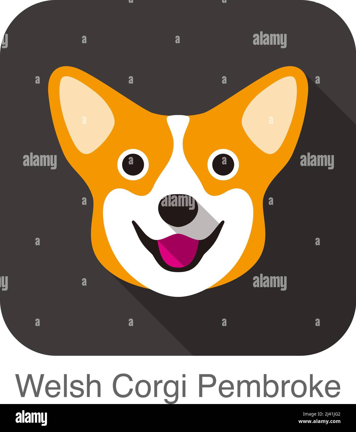 Welsh Corgi Cardigan dog face portrait flat icon design Stock Vector