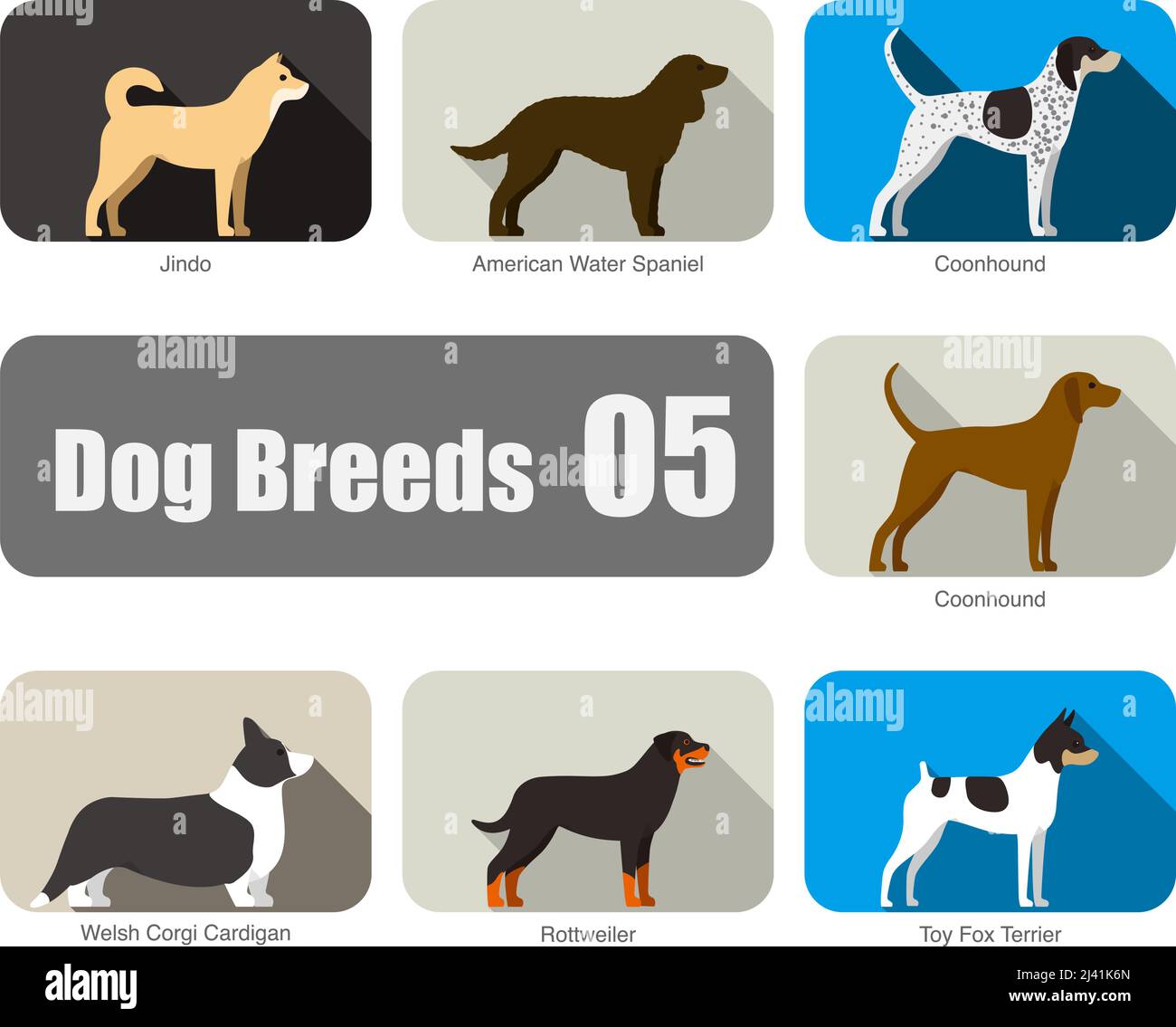 Dog breeds, standing on the ground, side view, vector illustration, dog cartoon image series Stock Vector