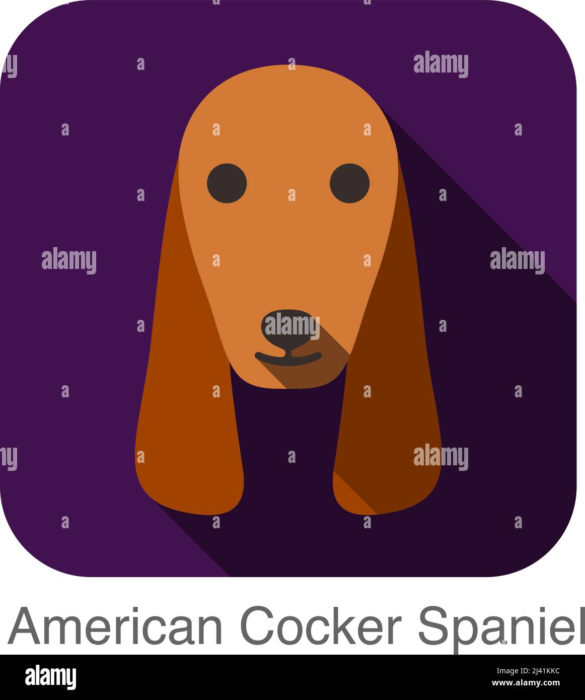 Cocker Spaniel Face Vector Cocker vector vectors hi-res stock photography and images - Alamy