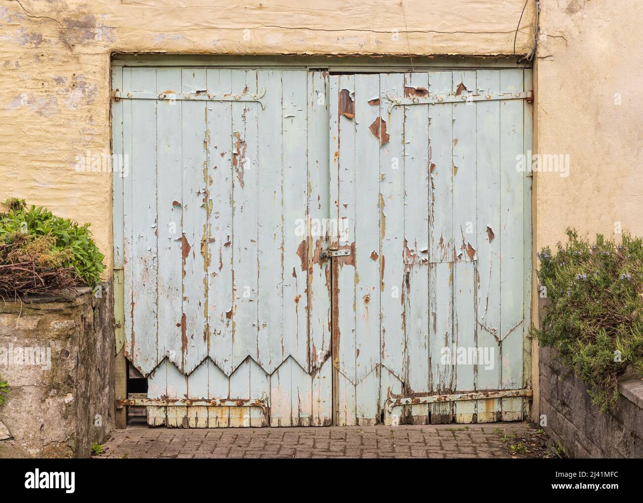 Old blue wooden painted garage doors with flaking paint Stock Photo Alamy