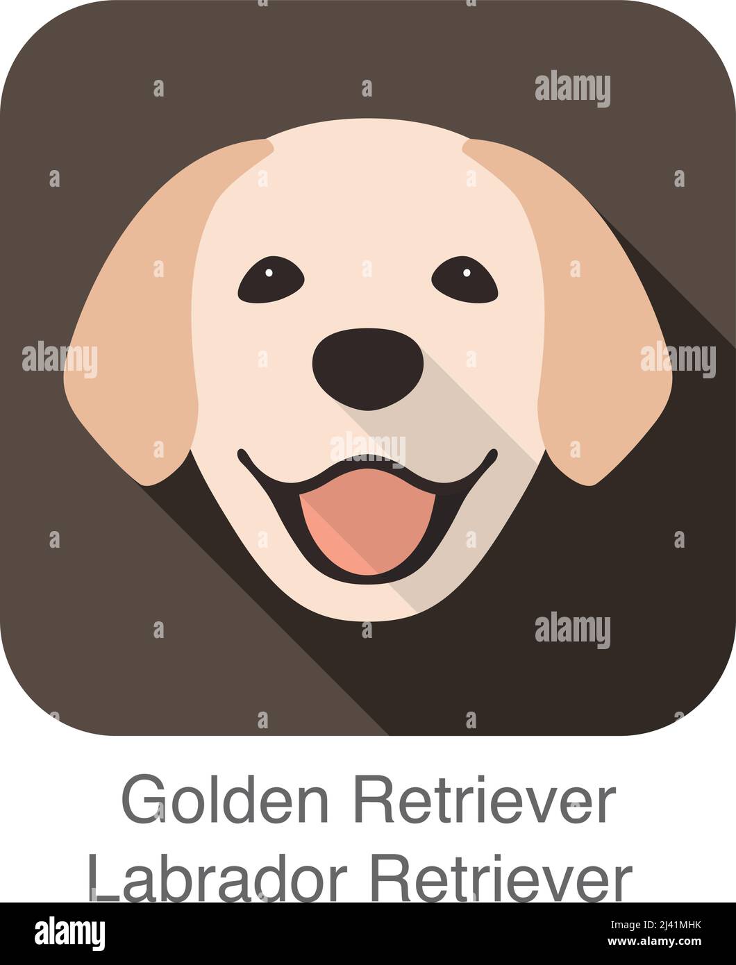 Golden Retriever face, front view, vector illustration Stock Vector