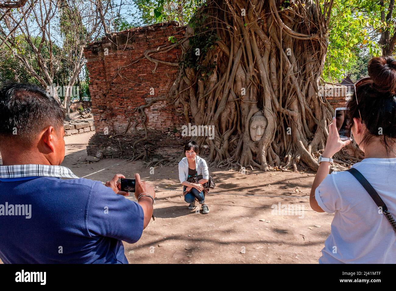 Tourists love to have their pictures taken in front of the buddha head in the tree. Stock Photo