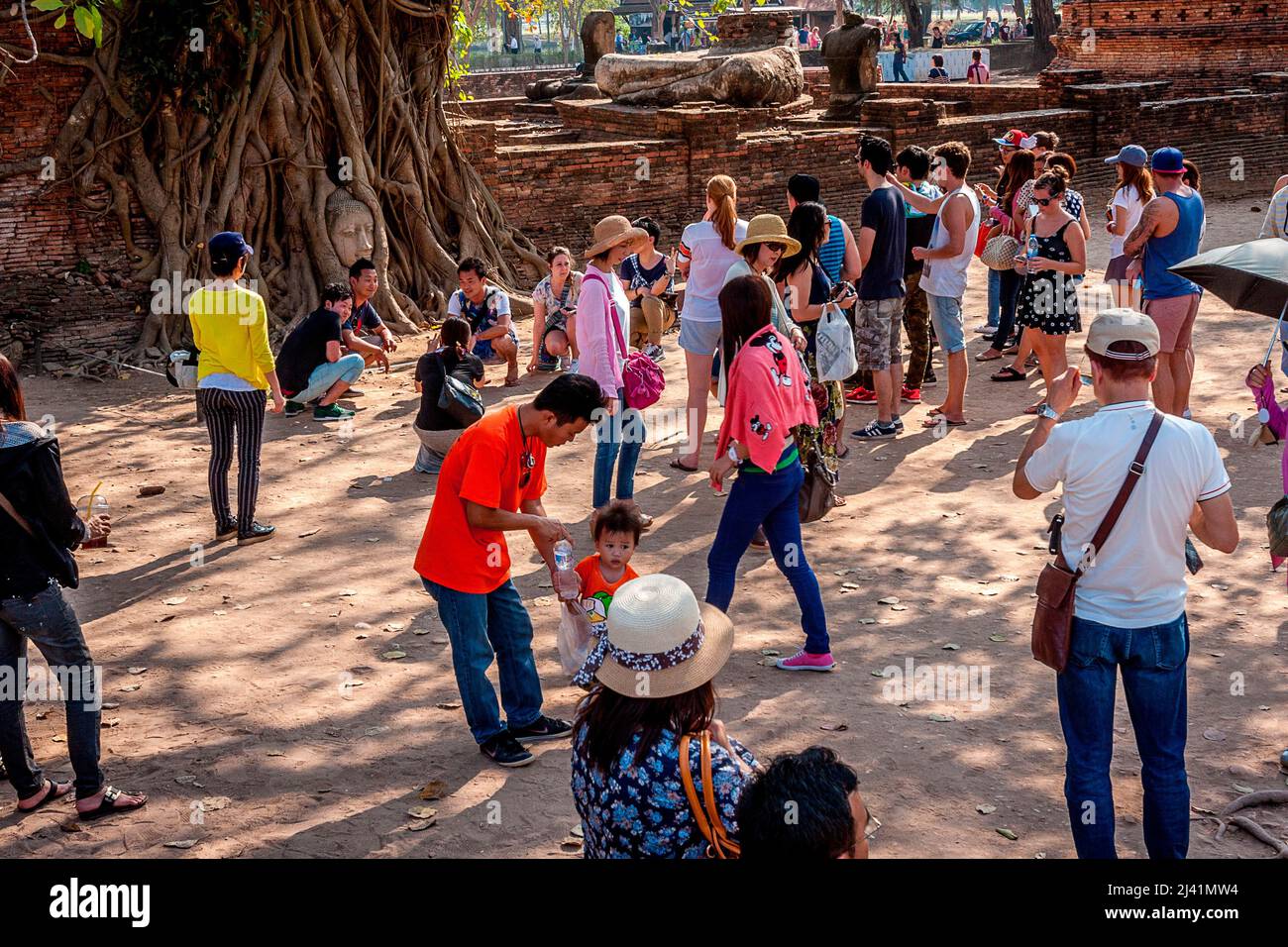 A group of tourists take each others picture in front of the Buddha face in the banyan tree. Stock Photo