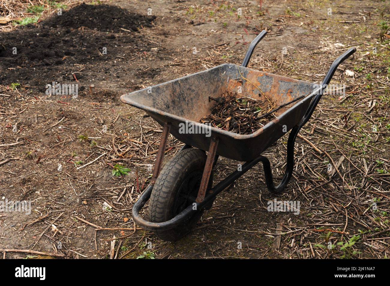 rusty wheelbarrow with soil Stock Photo Alamy