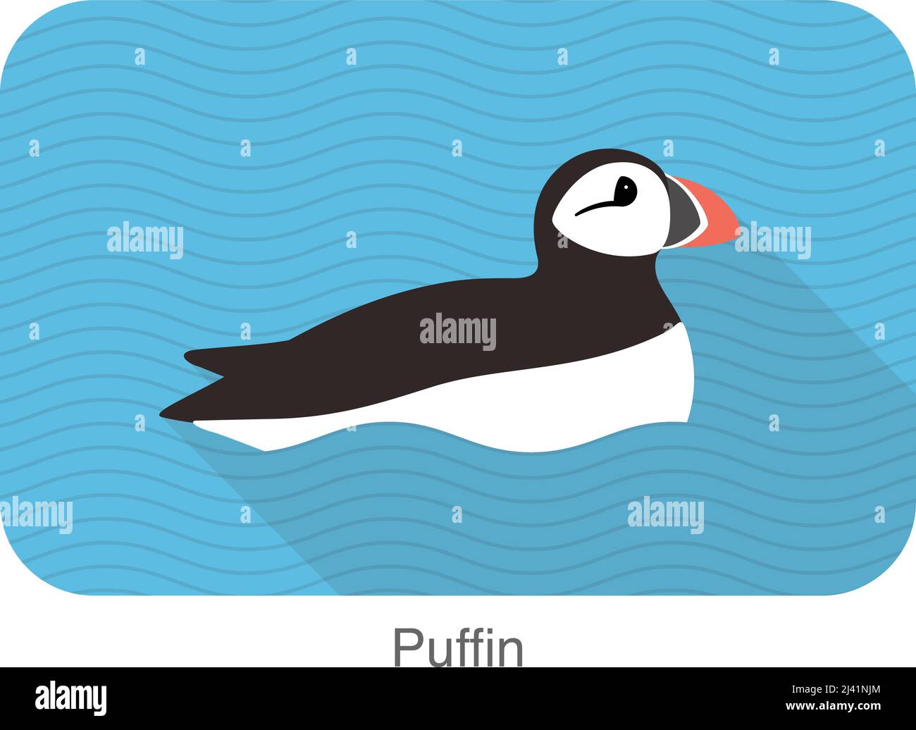 Puffin Bird Cute