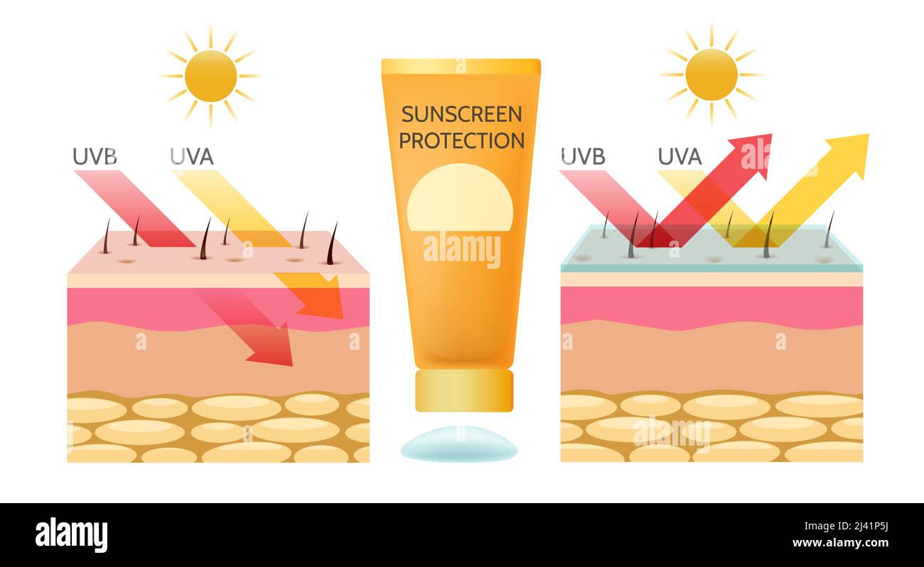 Uv rays skin protection Stock Vector Image & Art Alamy