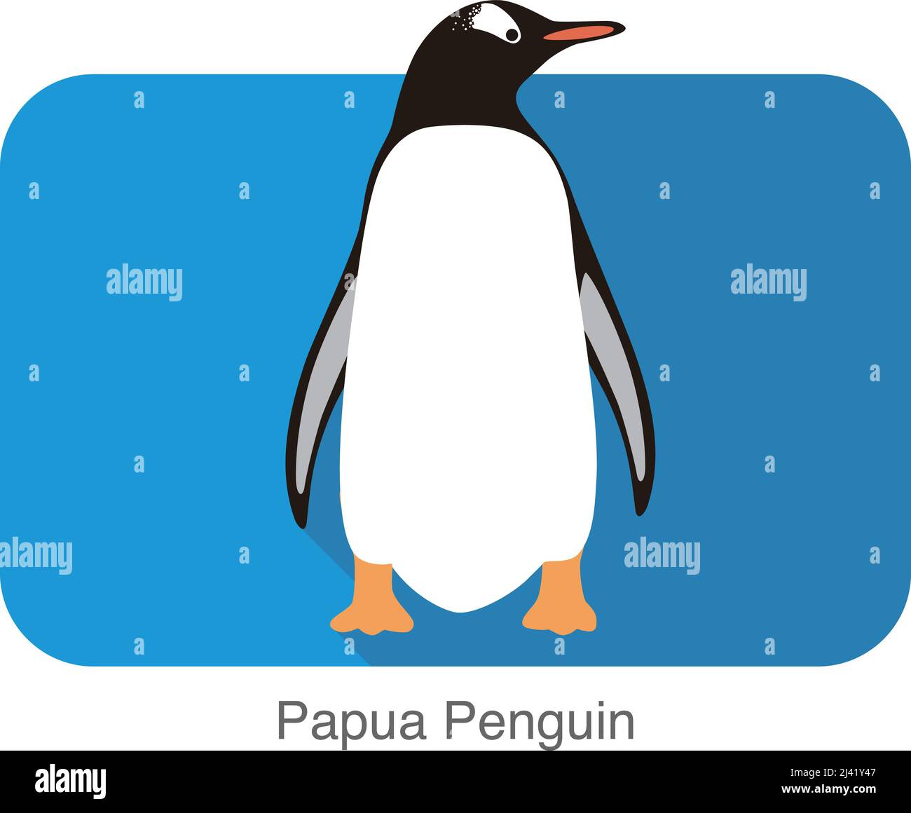 Papua penguin, Gentoo penguin, standing, vector illustration Stock Vector