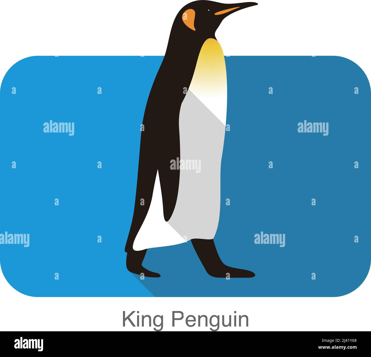 King Penguin walking, Penguin seed series, vector illustration Stock