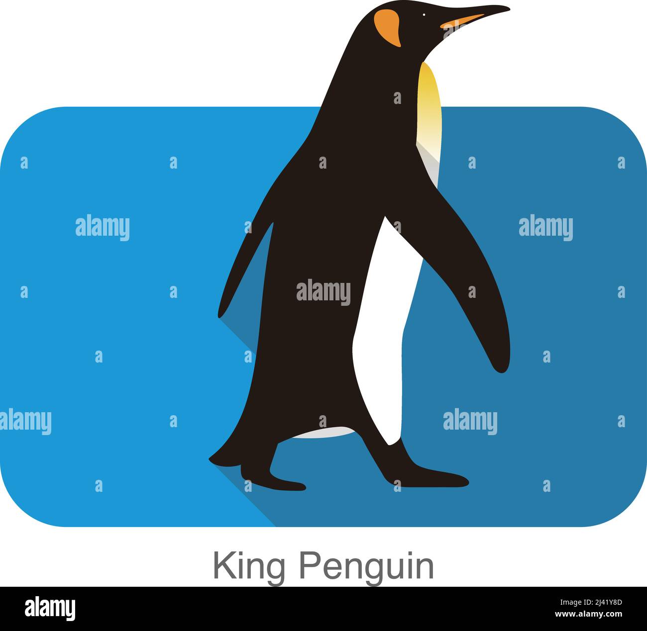 King Penguin walking, Penguin seed series, vector illustration Stock