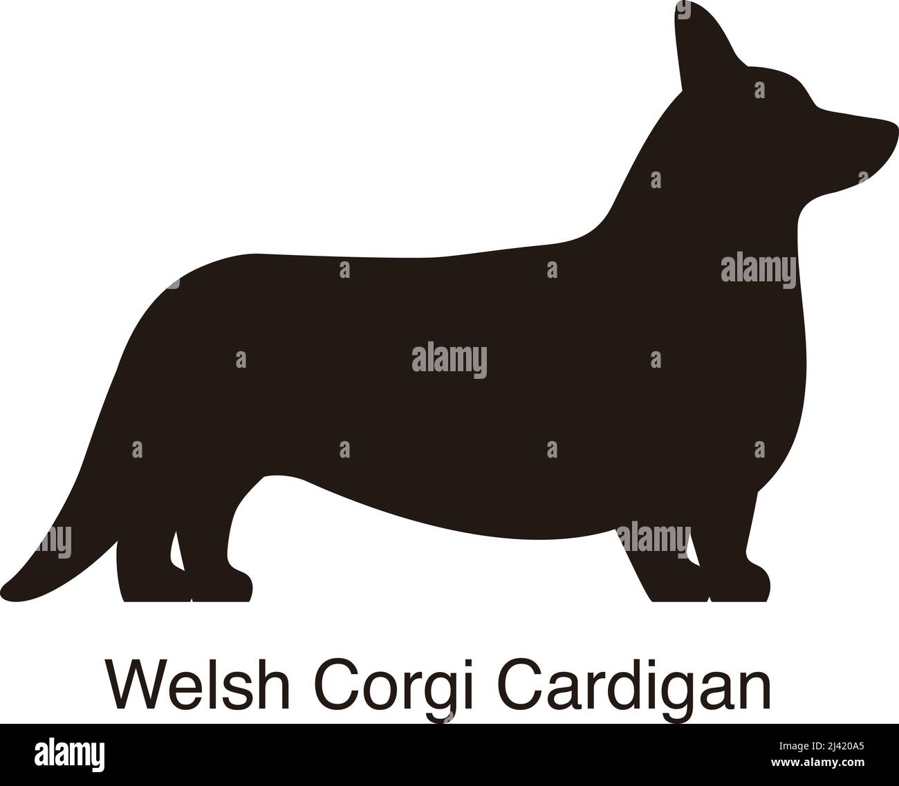 Welsh Corgi Cardigan dog silhouette, side view, vector illustration Stock Vector