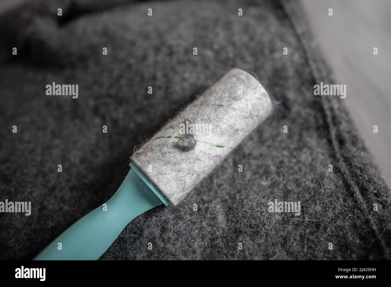 Close up lint roller with blue handle on wool jacket Sticky lint roller all in sticked wool and hair Cleaning woolen clothes with lint roller Stock Photo