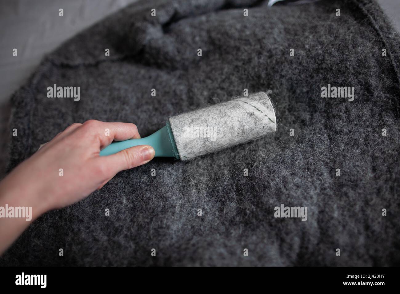 Close up woman hand use lint roller on wool jacket Sticky lint roller all in sticked wool and hair Person cleaning woolen clothes with lint roller Stock Photo