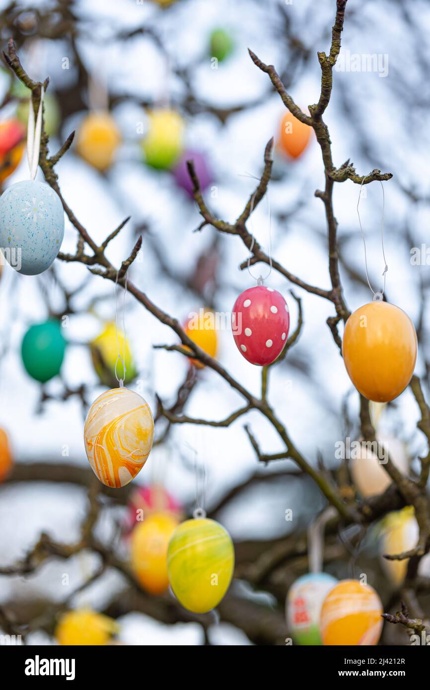 Tree decorated with colorful Easter eggs, street Easter decor. Stock Photo
