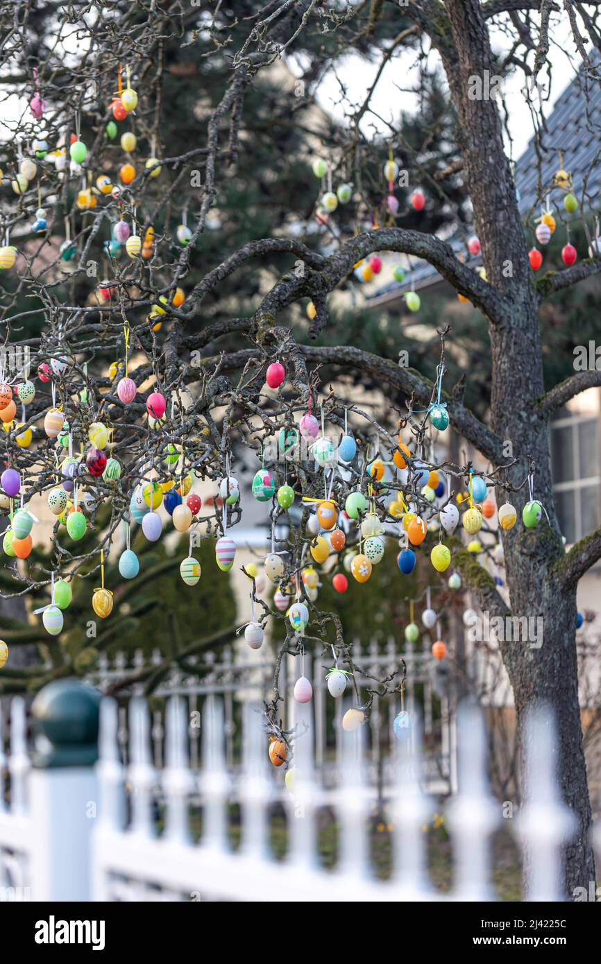 Tree decorated with colorful Easter eggs, street Easter decor. Stock Photo