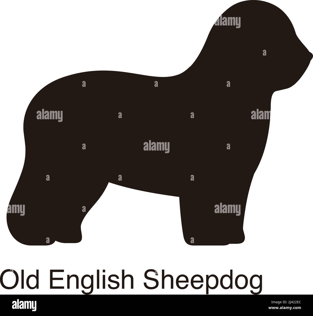 Old English Sheepdog Vector Illustration Royalty Free SVG, Cliparts,  Vectors, and Stock Illustration. Image 87466834.