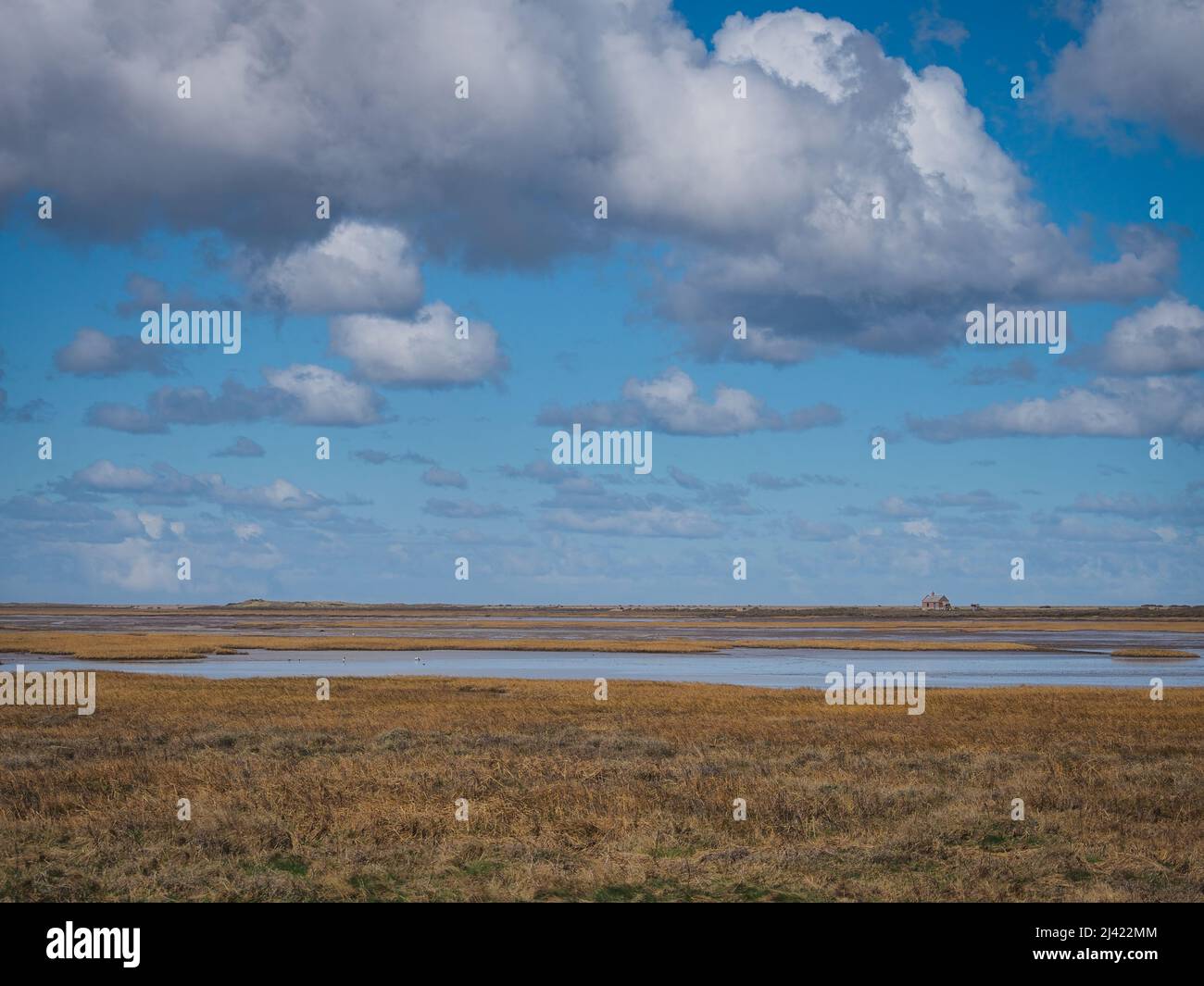 View across expansive salt marshes, Blakeney National Nature Reserve, Norfolk Stock Photo