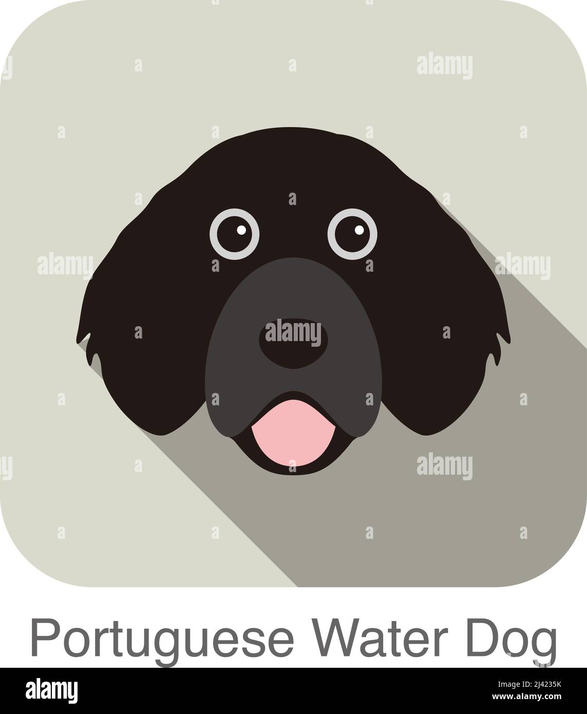 Portuguese water dog face portrait flat icon design, vector illustration Stock Vector