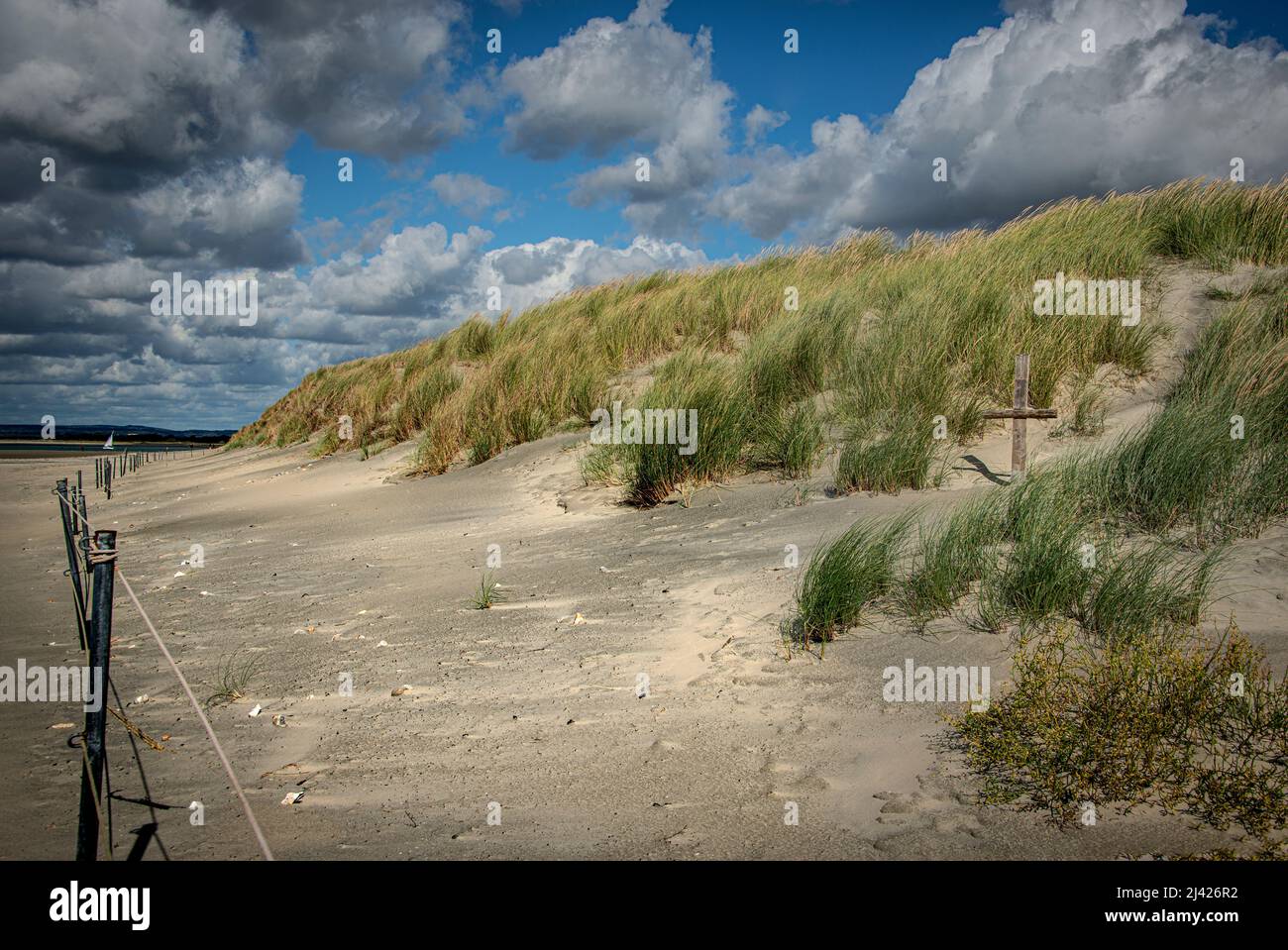 Sand Dunes Roped Off For Proection And Environmental Issued Stock Photo Alamy