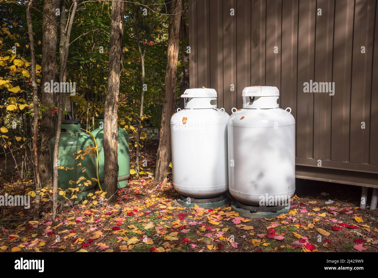 Propane cylinders among trees and along the back wall of a metal hut in ...