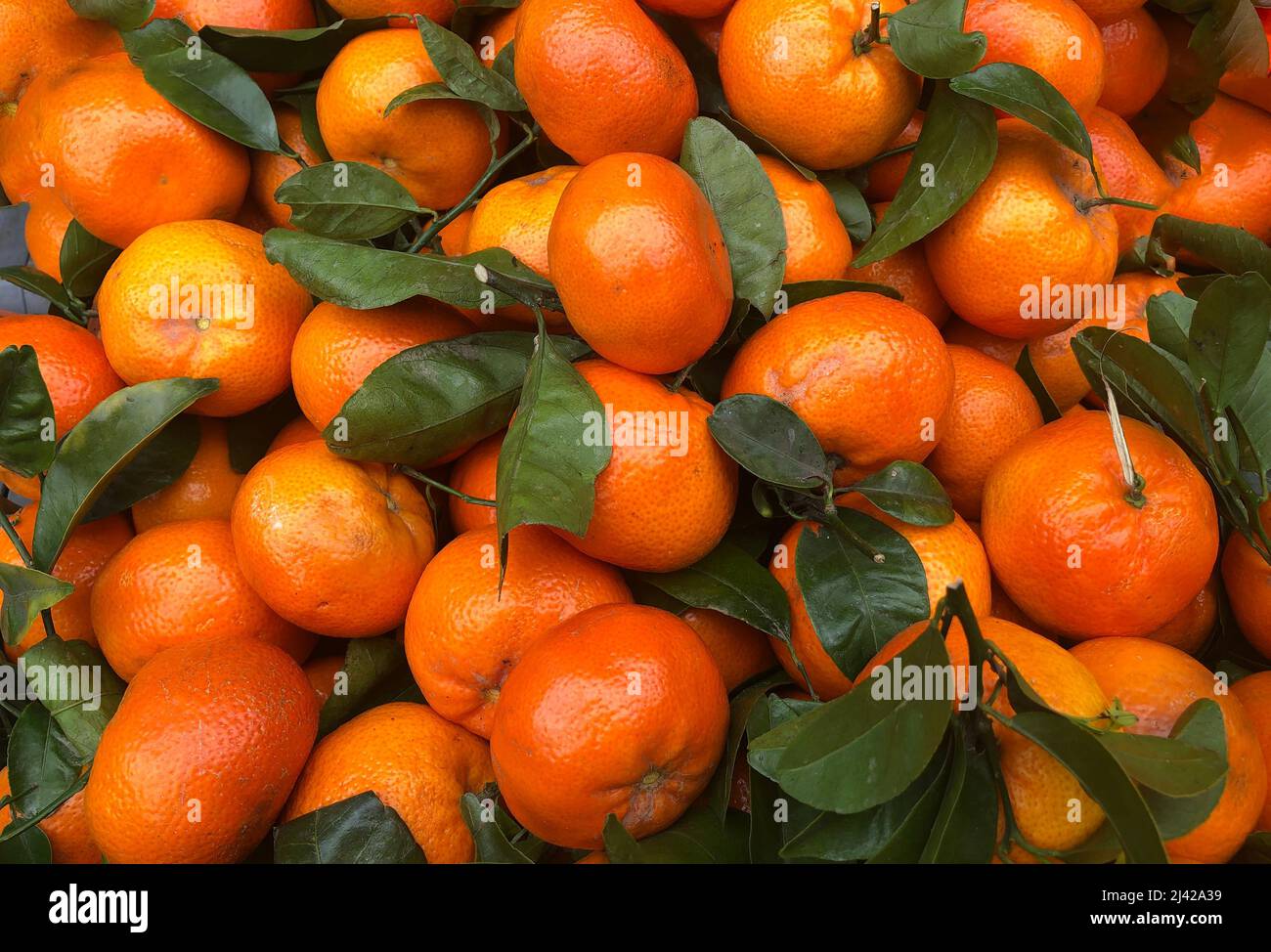 Clementine peel up close fruit hi-res stock photography and images - Alamy