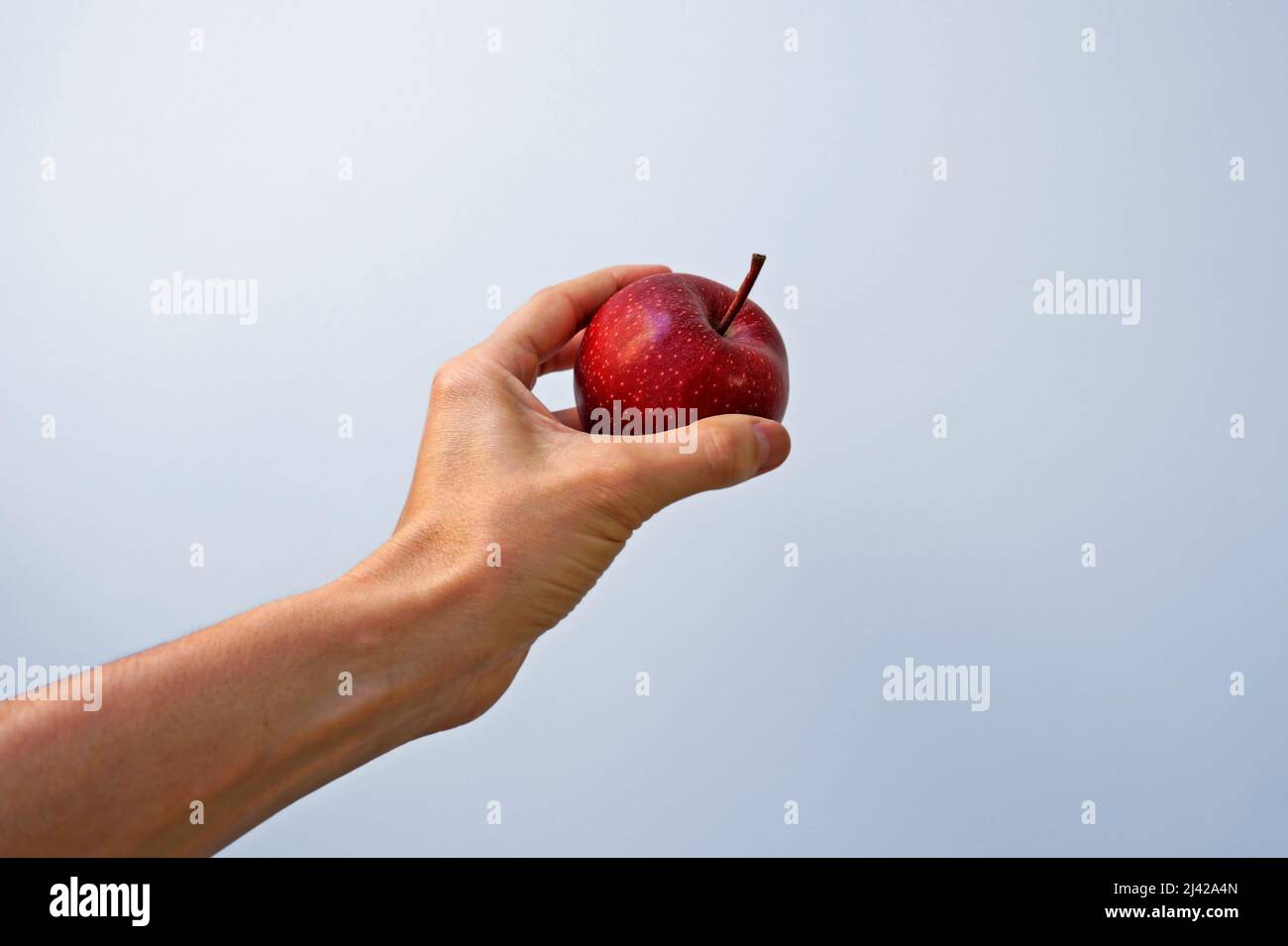 Red apple on hand in a bright background Stock Photo