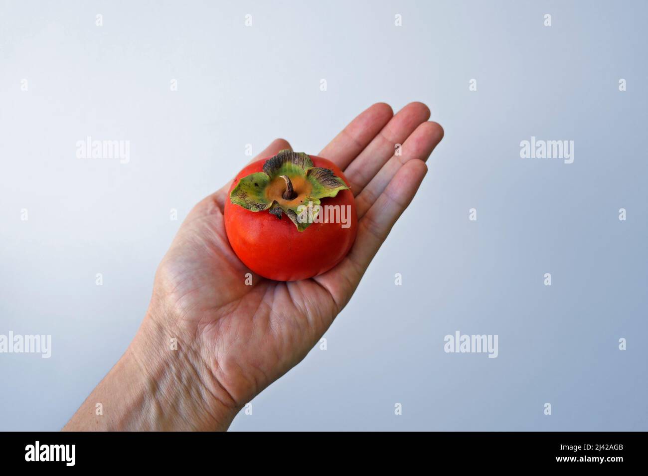 Persimmon on hand in a bright background Stock Photo