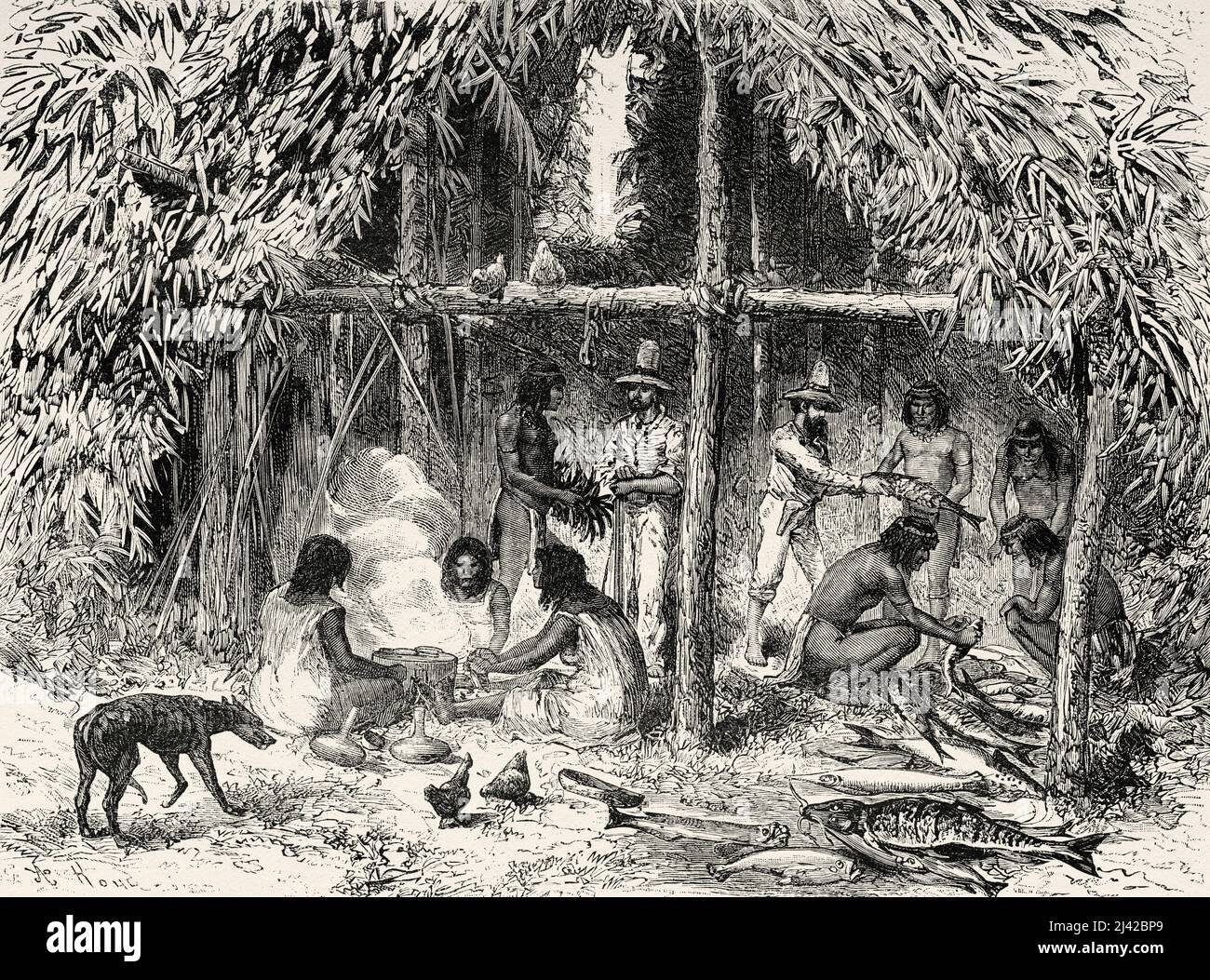 Visit to the Nukak people, Colombia. South America. Voyage of